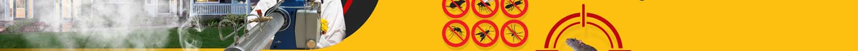 Fumigaciones Urgentes