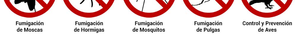Fumigaciones Urgentes
