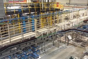 Fumigaciones de Cucarachas