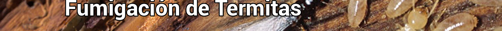 Fumigaciones